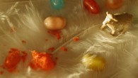 The Nekaa Room: Dark Matter a new production by Sachiyo Takahashi The Nekaa Room: Dark Matter is a new production by Sachiyo Takahashi as part of her ongoing Microscopic Live Cinema-Theatre series. The work examines...